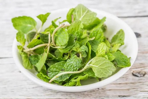 natural menthol crystals natural menthol crystals