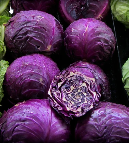dried cabbage dried cabbage