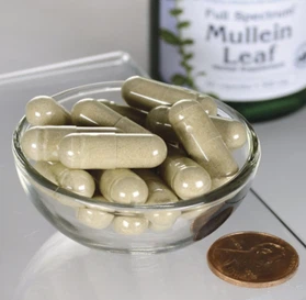 product-465-455 product-465-455