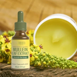 product-399-401 product-399-401