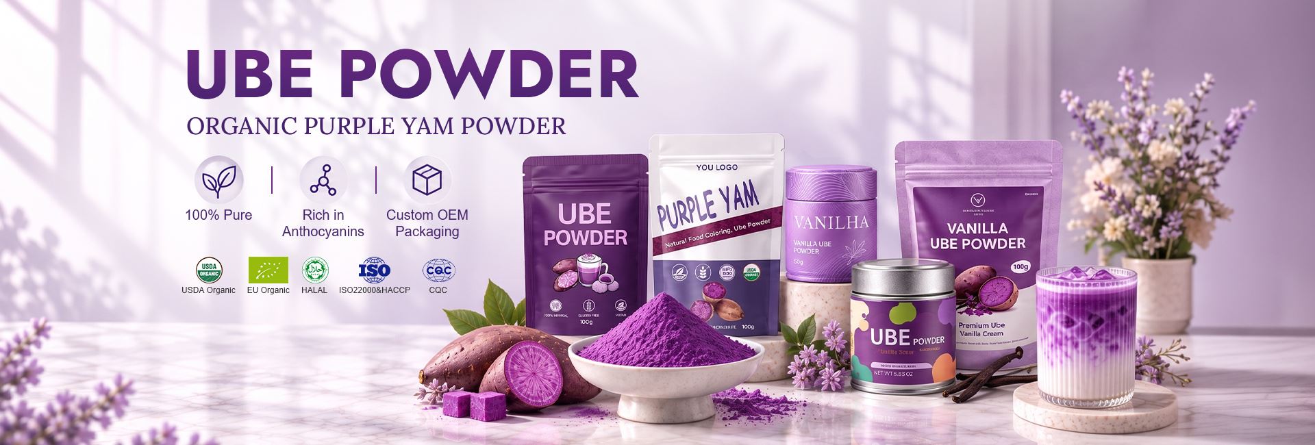 Fruit and Vegetable Powder Supplier