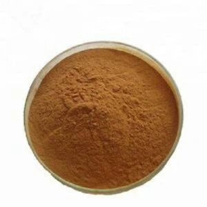 Artichoke Extract powder