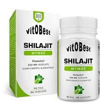 shilajit pills