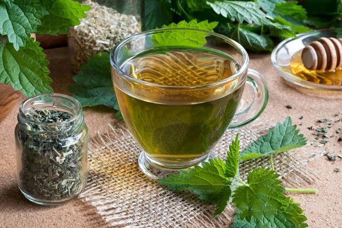 nettle leaf tea