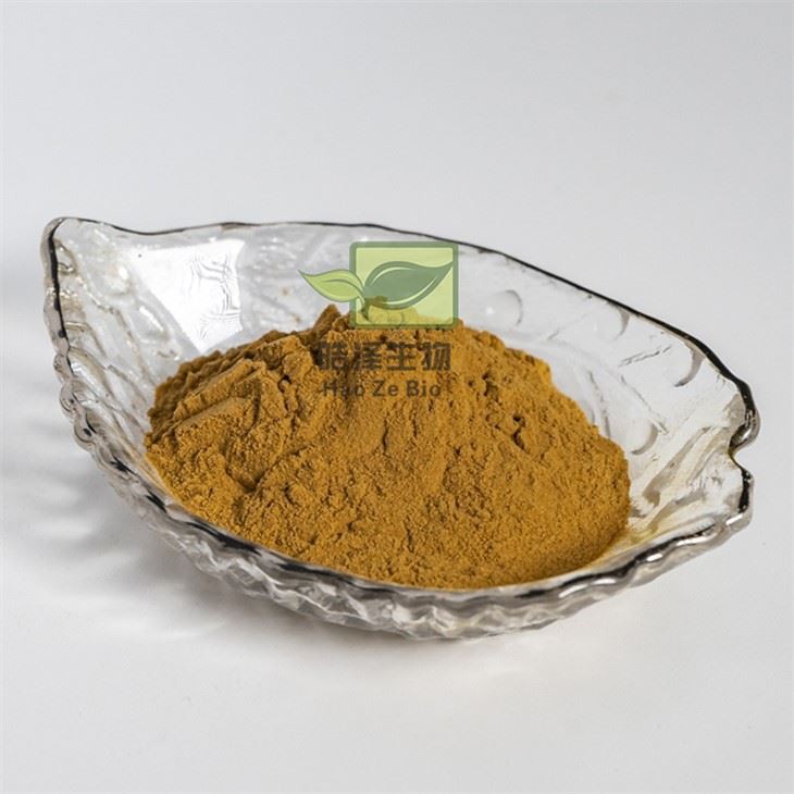 চীনা চিভ বীজ নির্যাস