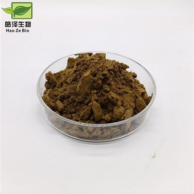 ইচিনেসিয়া এক্সট্র্যাক্ট পাউডার