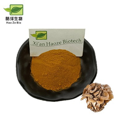 মাইটাকে মাশরুম এক্সট্রাক্ট