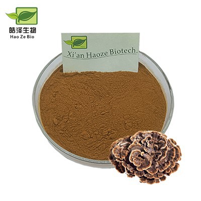 টার্কি লেজ মাশরুম এক্সট্রাক্ট